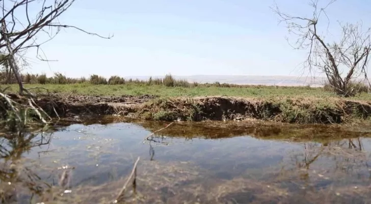 مدار الساعة,أخبار الأردن,اخبار الاردن,وزير الزراعة,رئيس الوزراء,وسائل التواصل الاجتماعي