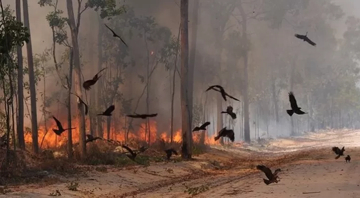 مدار الساعة,Video,فيديو,أخبار خفيفة ومنوعة