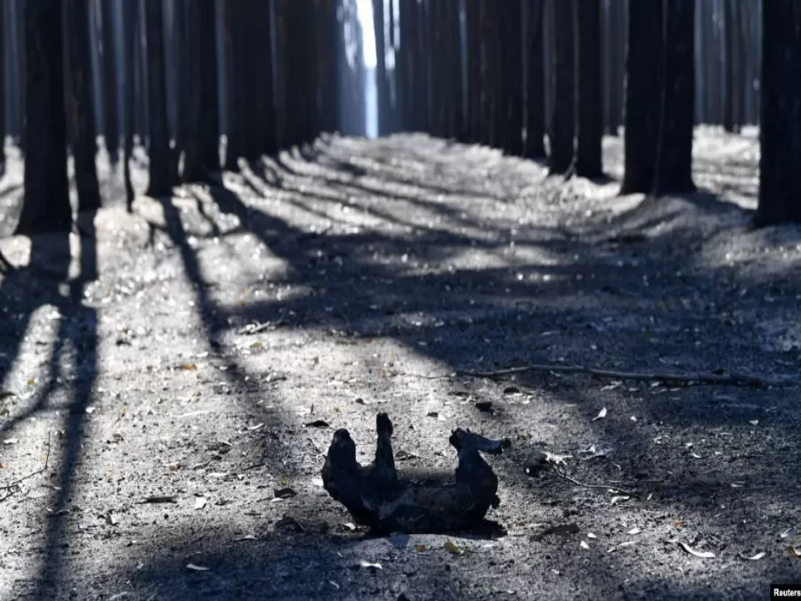 مدار الساعة,أخبار خفيفة ومنوعة