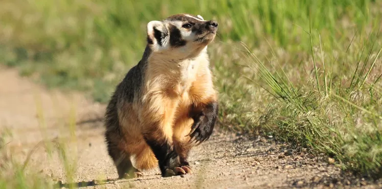 مدار الساعة,Video,فيديو,أخبار خفيفة ومنوعة