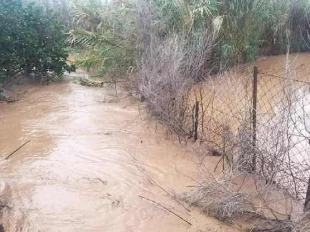 مدار الساعة,أخبار الأردن,اخبار الاردن,وزارة الزراعة,وزارة المياه والري,وزارة المياه,البحر الميت