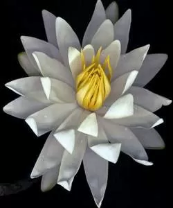 مدار الساعة,شؤون دينية