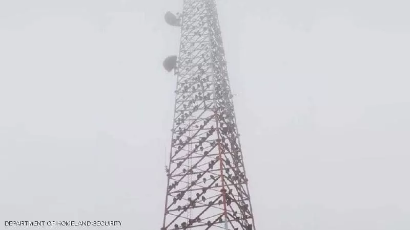 مدار الساعة,أخبار خفيفة ومنوعة