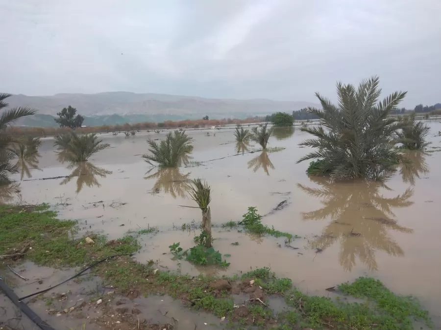 مدار الساعة,Video,فيديو,أخبار الأردن,اخبار الاردن,وزارة المياه والري,وزارة المياه,البحر الميت
