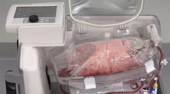 مدار الساعة,أخبار خفيفة ومنوعة