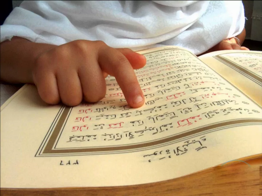 مدار الساعة,أخبار الأردن,اخبار الاردن,دائرة ضريبة الدخل