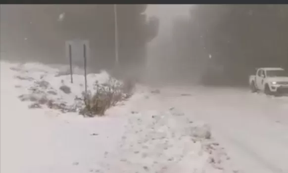 مدار الساعة,أخبار الأردن,اخبار الاردن
