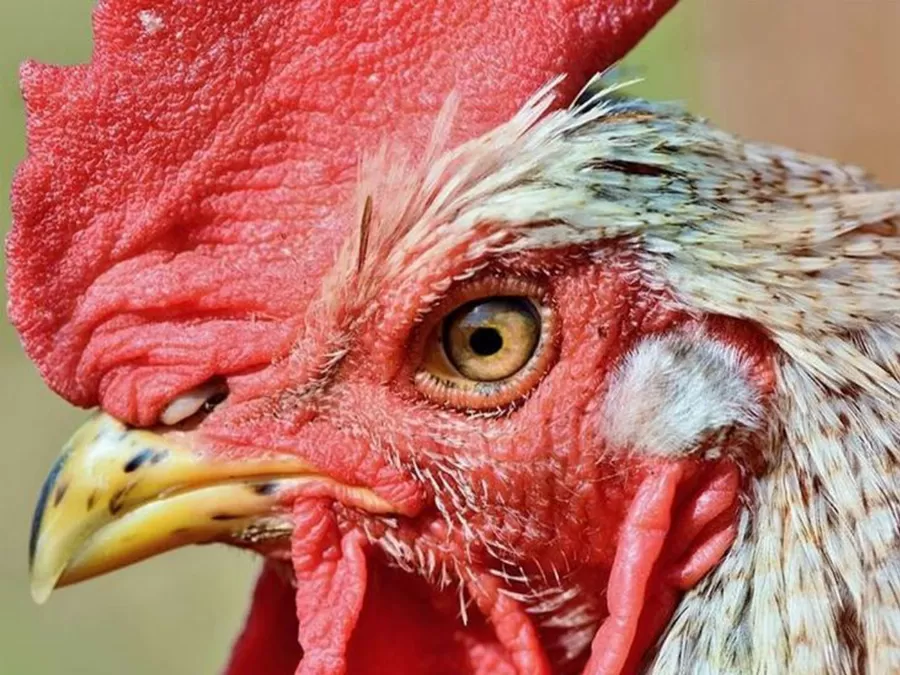 مدار الساعة,أخبار خفيفة ومنوعة