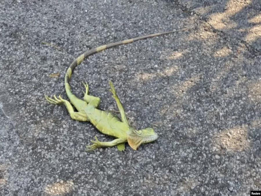 مدار الساعة,أخبار خفيفة ومنوعة,الأرصاد الجوية,درجات الحرارة,وسائل التواصل الاجتماعي