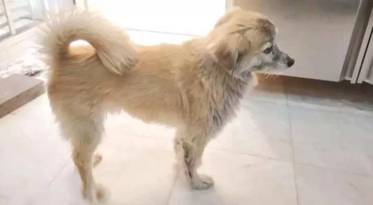 مدار الساعة,أخبار خفيفة ومنوعة,صحيفة الرأي