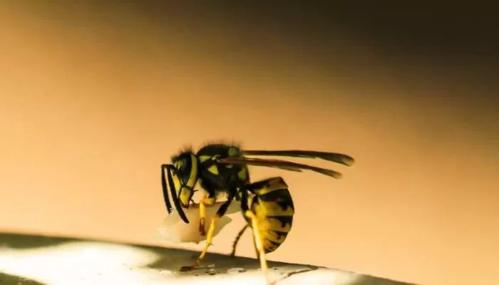 مدار الساعة,أخبار خفيفة ومنوعة