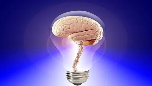 مدار الساعة,أخبار ثقافية