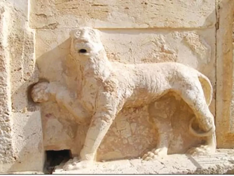 مدار الساعة,أخبار الأردن,اخبار الاردن,وزارة التربية والتعليم