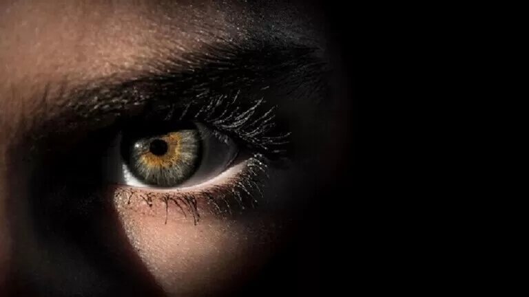 مدار الساعة,أخبار خفيفة ومنوعة