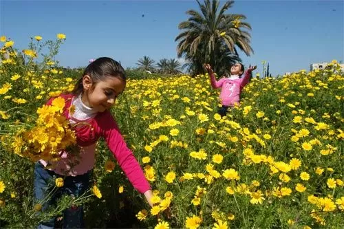 مدار الساعة,الطقس في الأردن اليوم,طقس الأردن,طقس العرب,طقس العرب الاردن,الأرصاد الجوية,درجات الحرارة,البحر الميت