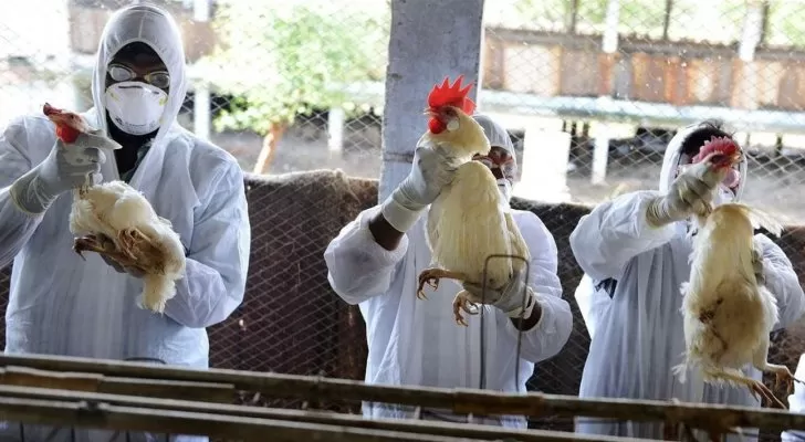 مدار الساعة,أخبار عربية ودولية,وزارة الزراعة