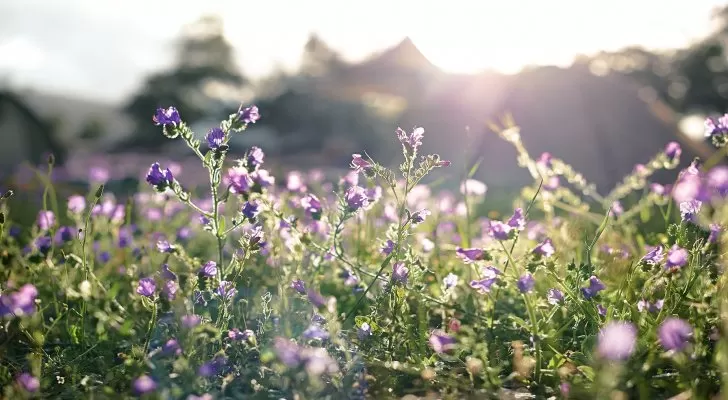 مدار الساعة,أخبار خفيفة ومنوعة,الحالة الجوية,درجات الحرارة
