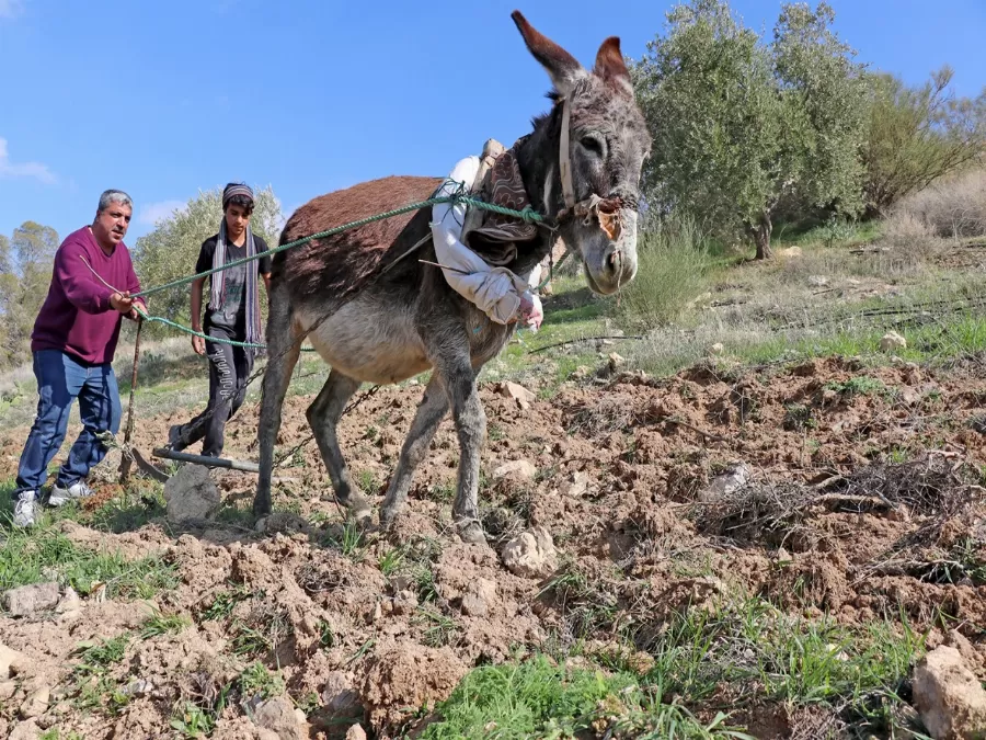 مدار الساعة,أخبار خفيفة ومنوعة
