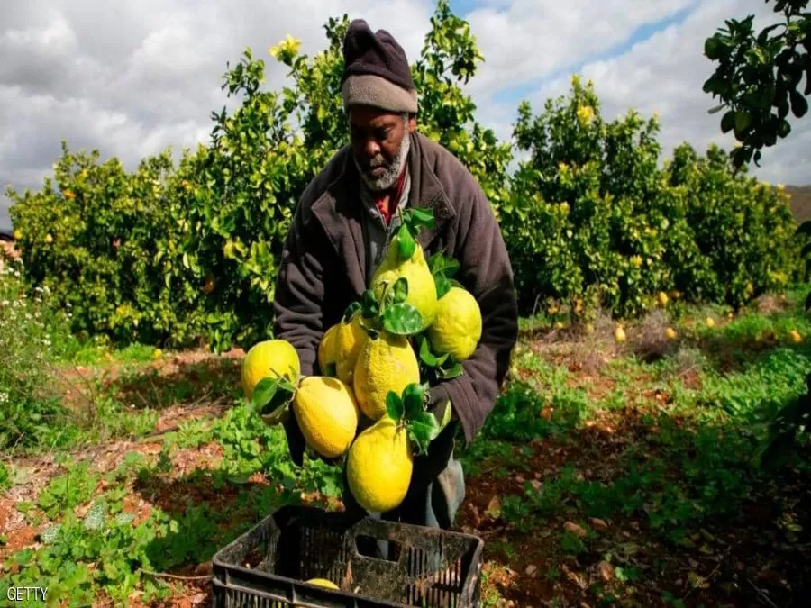 مدار الساعة,أخبار عربية ودولية