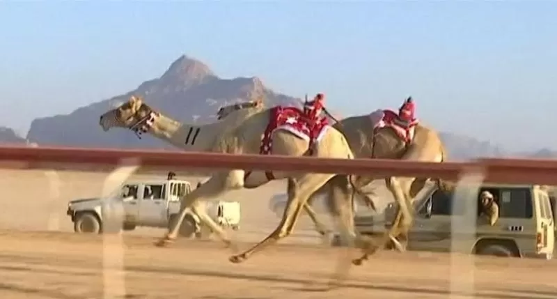 مدار الساعة,أخبار رياضية,الملك عبدالله الثاني