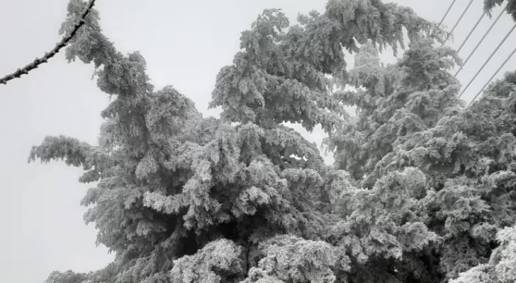 مدار الساعة,أخبار الأردن,اخبار الاردن,وزير المياه والري,رائد ابو السعود,الحالة الجوية,وزارة المياه والري,سلطة المياه,وزارة المياه,درجات الحرارة