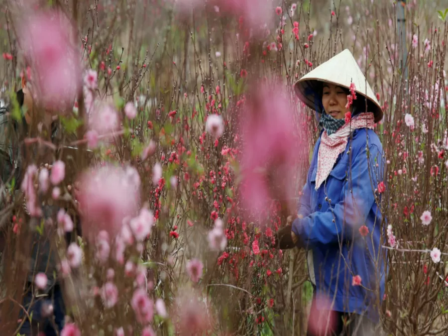 مدار الساعة,أخبار عربية ودولية,كورونا,منظمة الصحة العالمية
