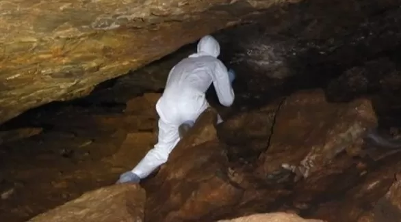 مدار الساعة,أخبار خفيفة ومنوعة,كورونا