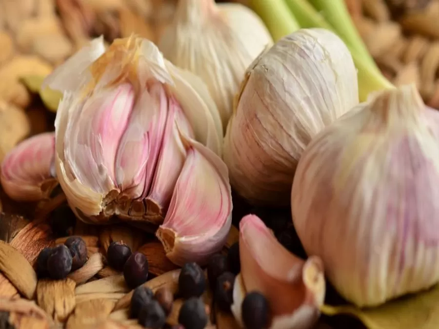 مدار الساعة,أخبار عربية ودولية,كورونا,منظمة الصحة العالمية