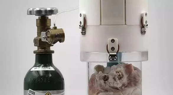 مدار الساعة,أخبار خفيفة ومنوعة