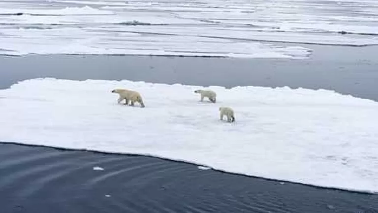 مدار الساعة,أخبار خفيفة ومنوعة,التجارة الإلكترونية