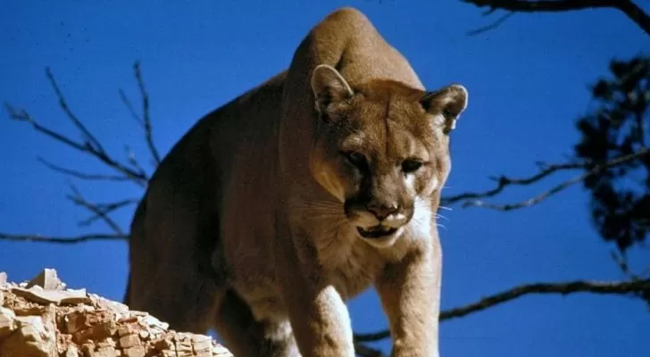 مدار الساعة,أخبار خفيفة ومنوعة