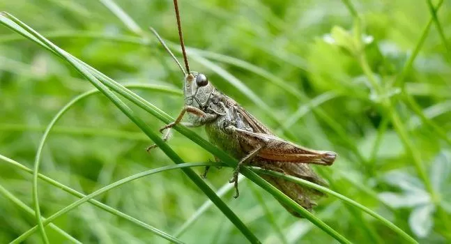 مدار الساعة,أخبار خفيفة ومنوعة,القوات البحرية