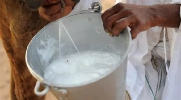 مدار الساعة,أخبار خفيفة ومنوعة