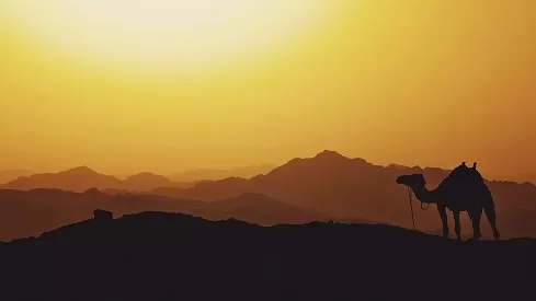 مدار الساعة,شؤون دينية