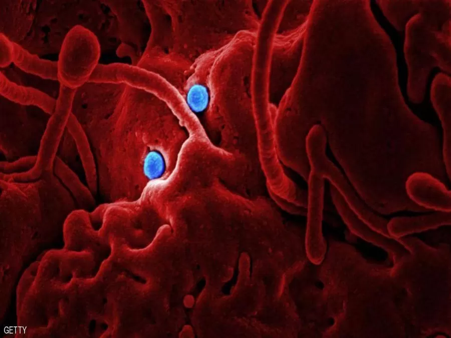 مدار الساعة,أخبار عربية ودولية,كورونا,منظمة الصحة العالمية