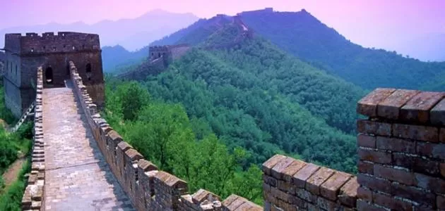 مدار الساعة,أخبار اقتصادية,كورونا,منظمة الصحة العالمية