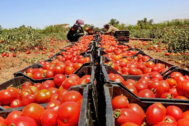 مدار الساعة,أخبار الأردن,اخبار الاردن