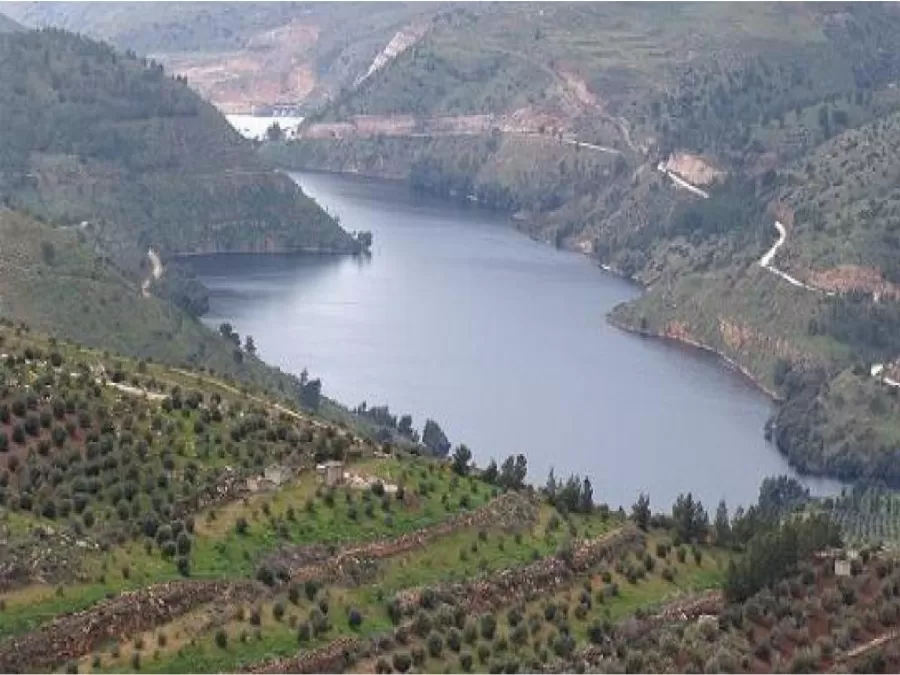 مدار الساعة,أخبار الأردن,اخبار الاردن,وزير المياه والري