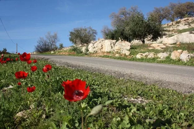 مدار الساعة,أخبار الأردن,اخبار الاردن,درجات الحرارة,البحر الميت