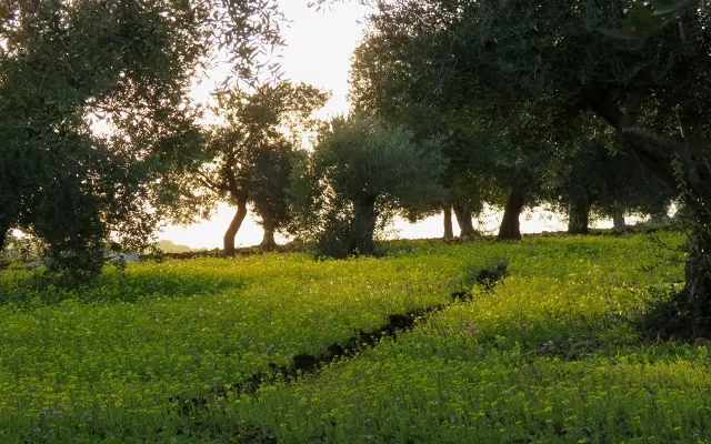 مدار الساعة,أخبار خفيفة ومنوعة,درجات الحرارة,البحر الميت