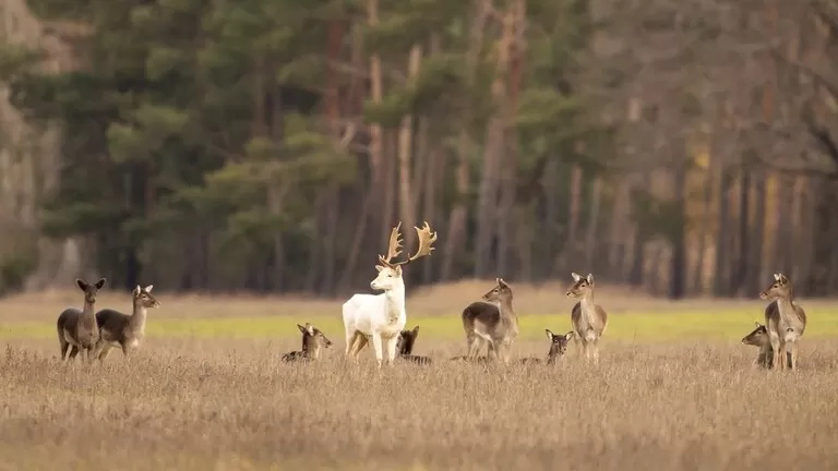 مدار الساعة,أخبار خفيفة ومنوعة
