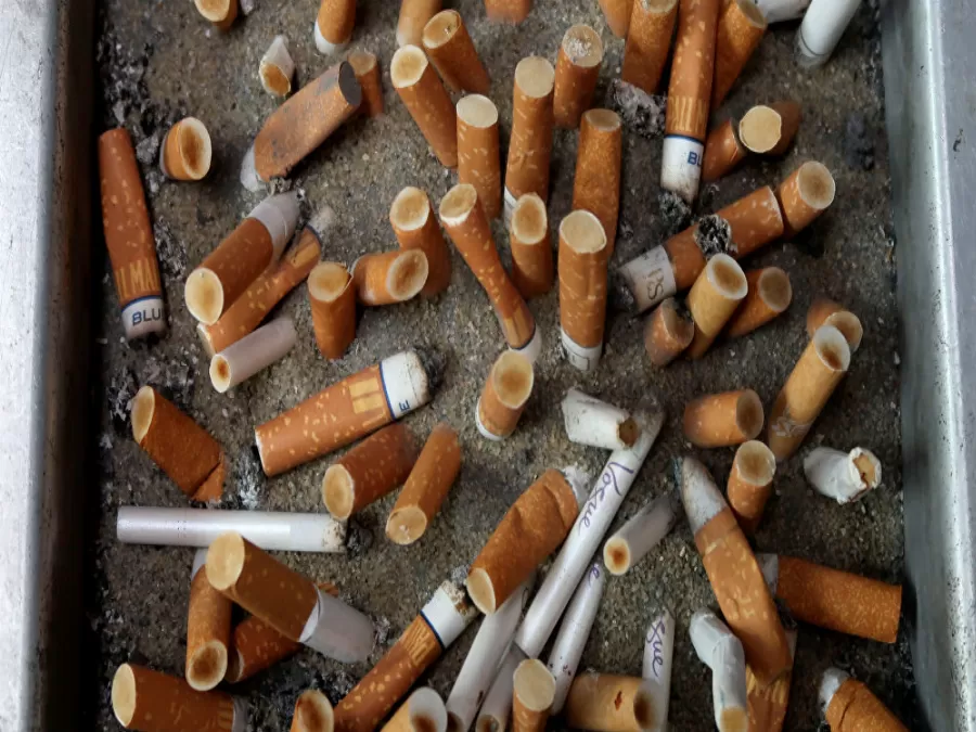 مدار الساعة,أخبار خفيفة ومنوعة,كورونا,منظمة الصحة العالمية