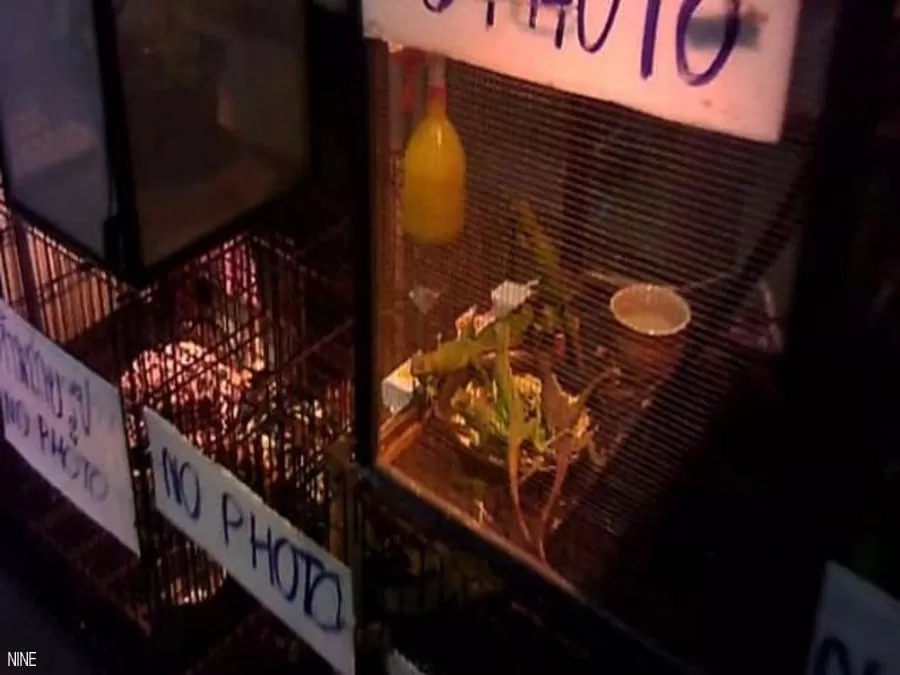 مدار الساعة,أخبار عربية ودولية,كورونا