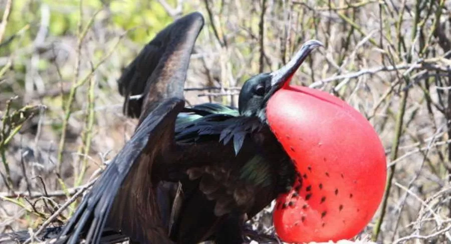 مدار الساعة,أخبار خفيفة ومنوعة