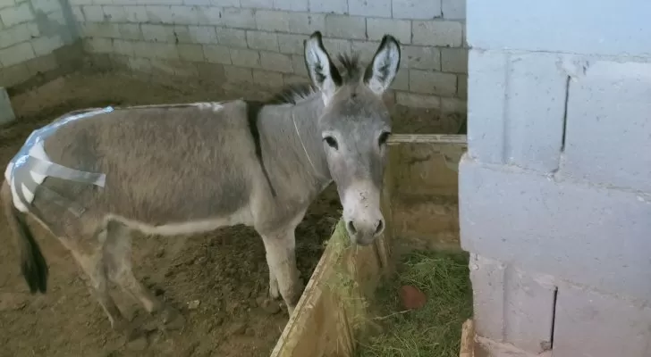 مدار الساعة,أخبار خفيفة ومنوعة