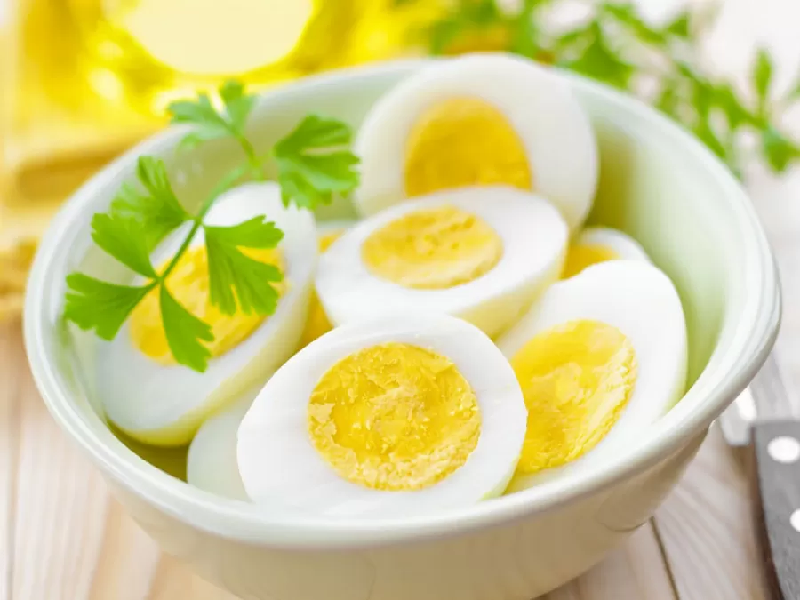 مدار الساعة,أخبار الأردن,اخبار الاردن,كورونا