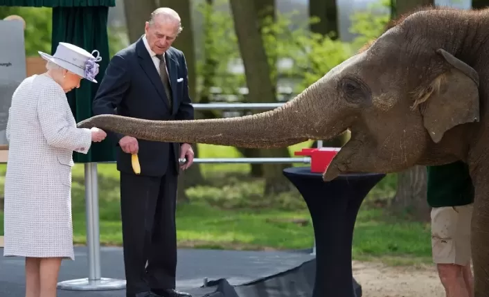 مدار الساعة,أخبار خفيفة ومنوعة