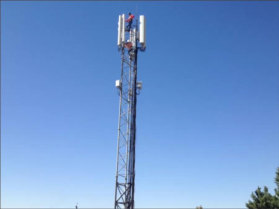 مدار الساعة,أخبار اقتصادية,كورونا,وزارة الصناعة والتجارة,وزارة الصناعة