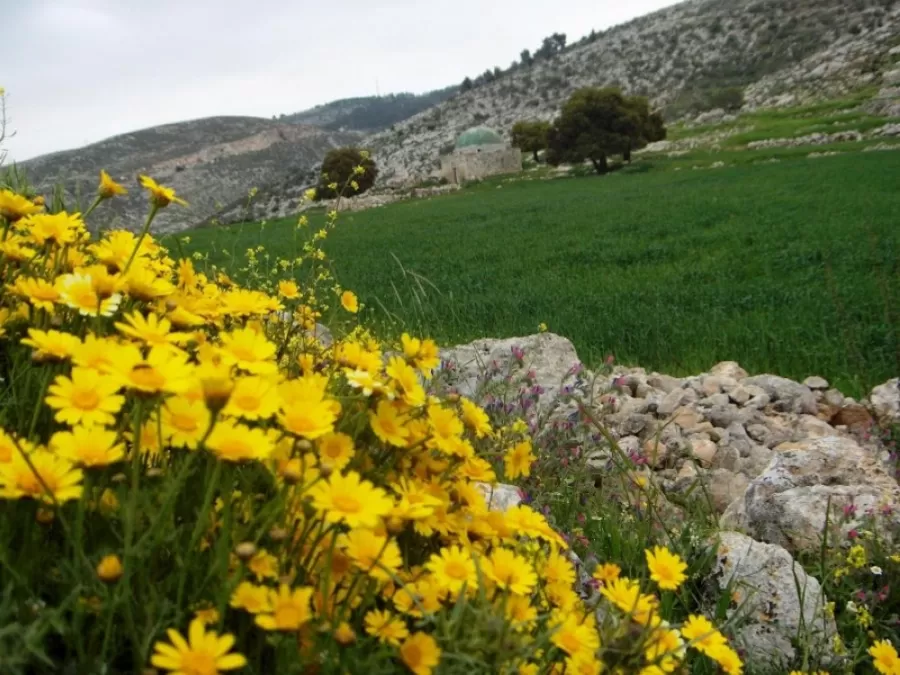 مدار الساعة,أخبار الأردن,اخبار الاردن,درجات الحرارة العظمى والصغرى,درجات الحرارة,البحر الميت