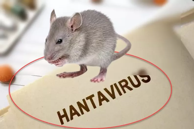 مدار الساعة,أخبار عربية ودولية,كورونا